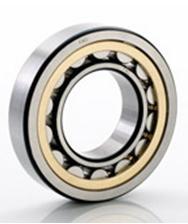 Full Complement Cylindrical Roller Bearings from CBC Australia