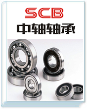 山东中轴轴承有限公司轴承样本