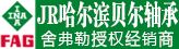 哈尔滨贝尔轴承有限公司