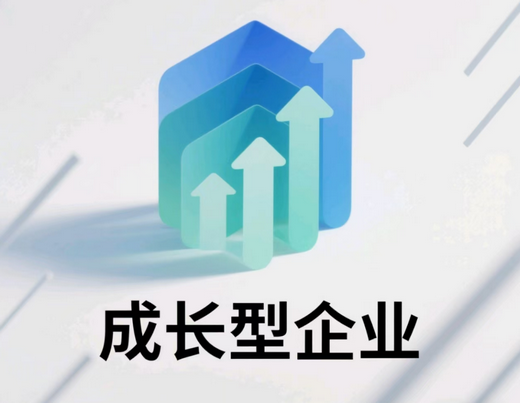 �ٳɻ�ʢ���������޹�˾��ѡ2025����м��ɳ�����ҵ����