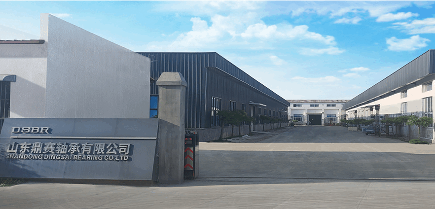 ���������ѡɽ��ʡ2025��ȵ�һ����������С��ҵ����