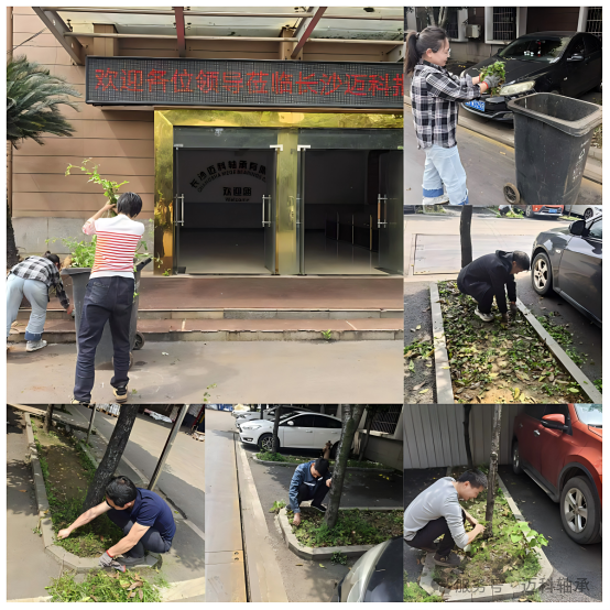 党员带头除杂草 美化环境树新风——长沙迈科轴承有限公司党支部开展义务劳动