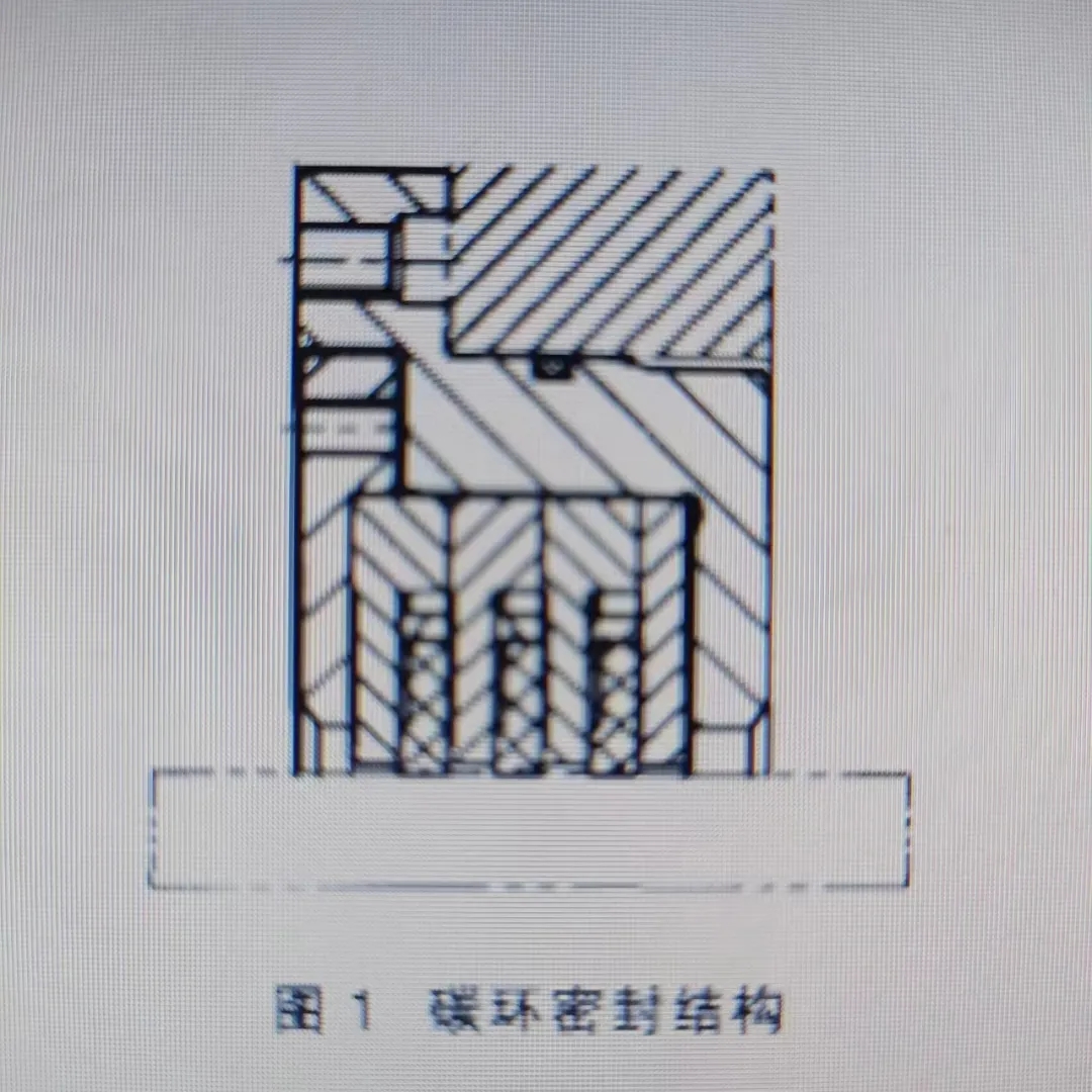 碳环密封的结构和应用