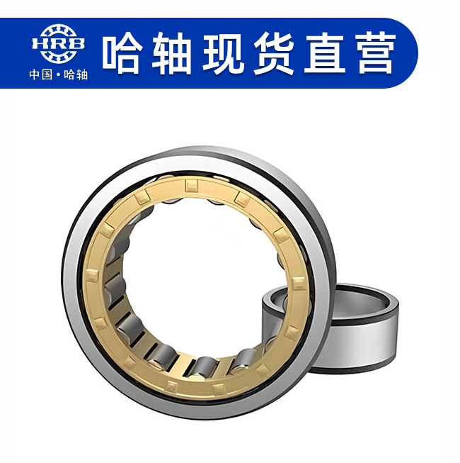 CYLINDRICAL ROLLER BRG