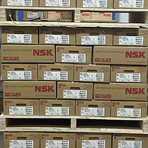 NSK-3